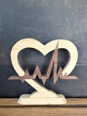 Coeur electrocardiogramme